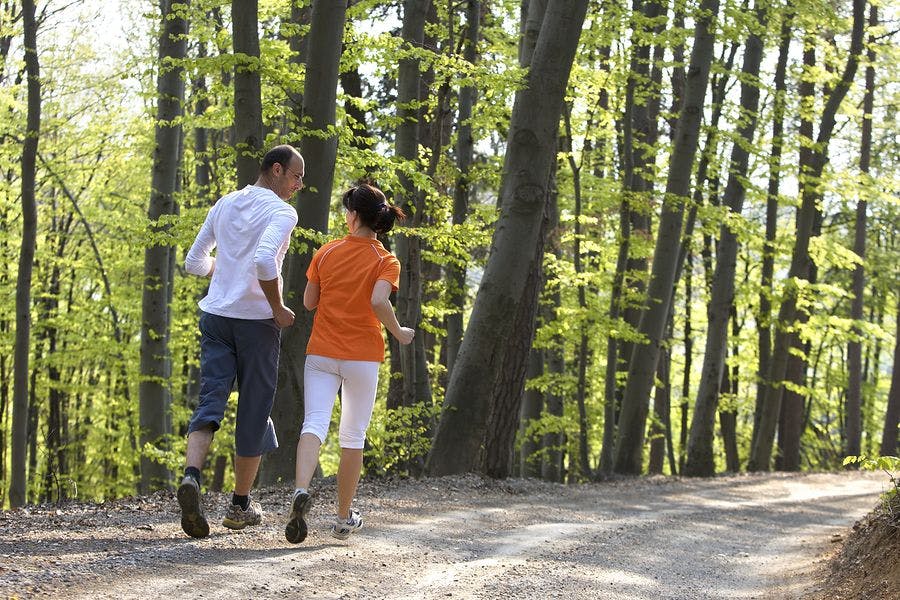 Blackstone Valley Physical Therapy Services, Inc.