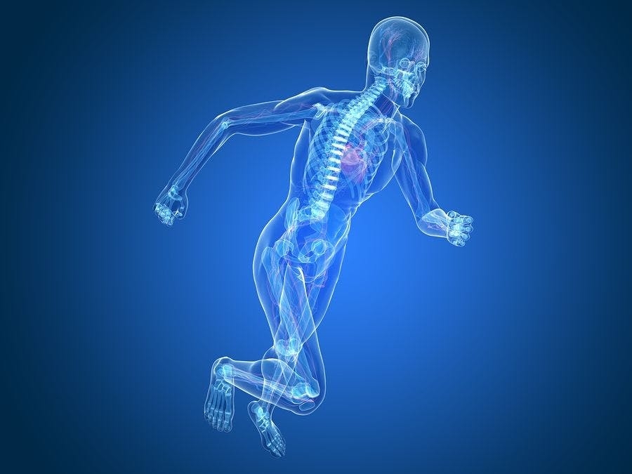 Physical Therapy Urbandale IA