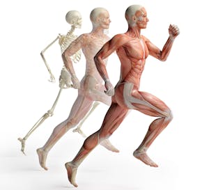 Pro Motion Physical Therapy | Mclean VA | Sports Medicine