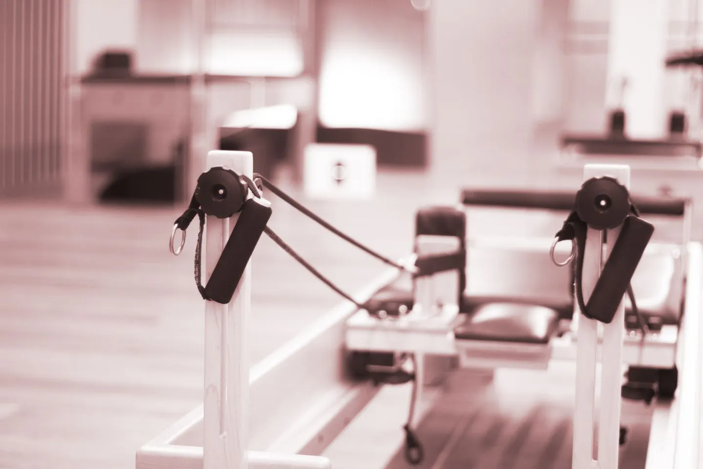 physical therapy Pinellas Park FL