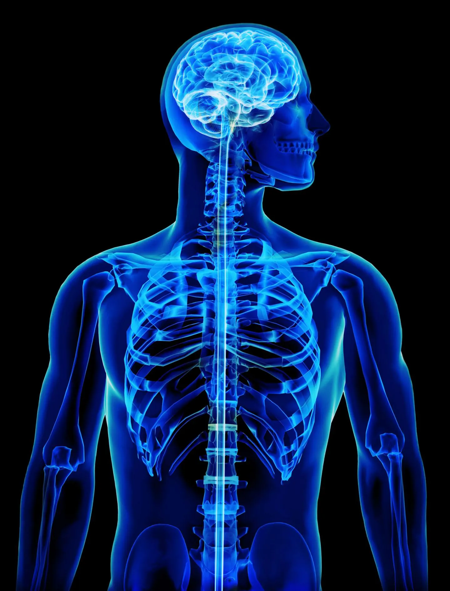 physical therapy Englewood CO