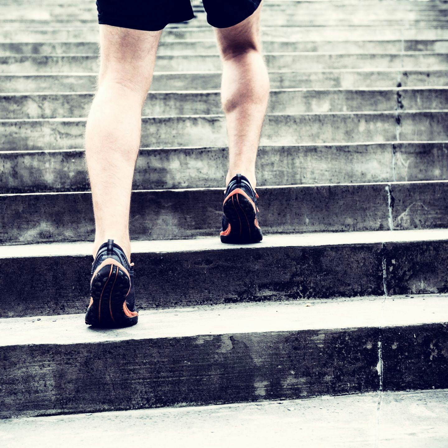 Creamer Physical Therapy