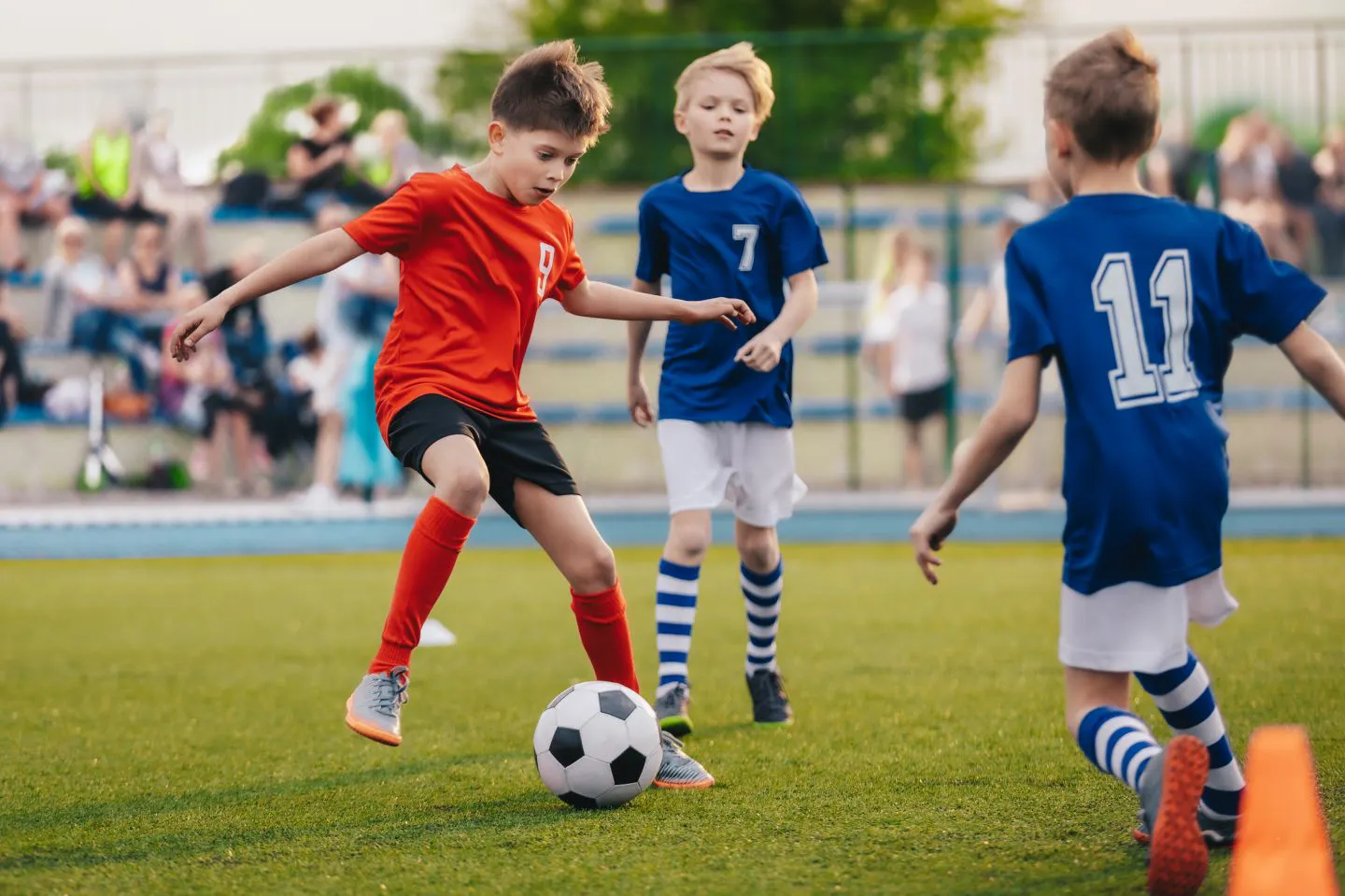 physical therapy Philomath OR
