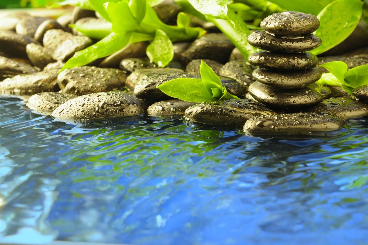 physical therapy Saratoga Springs NY