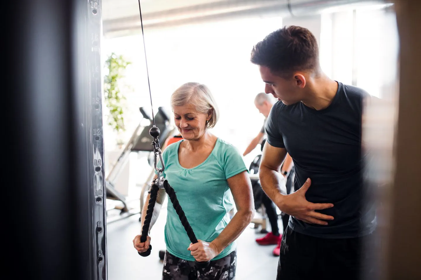 physical therapy Pinellas Park FL